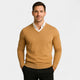 Carl | Men's V-Neck Fine Knit Sweater
