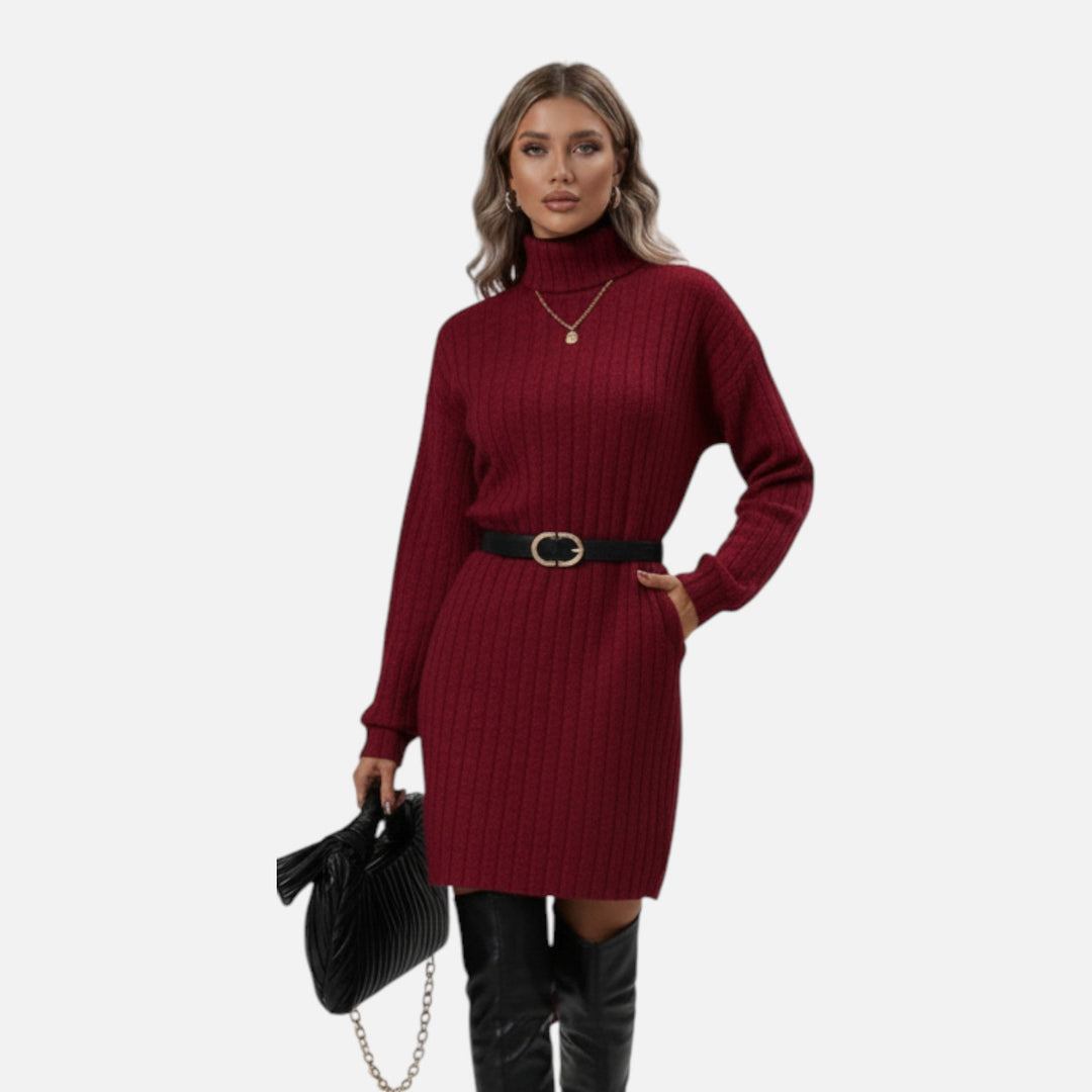 Zerline | Women's Turtleneck Textured Knit Dress