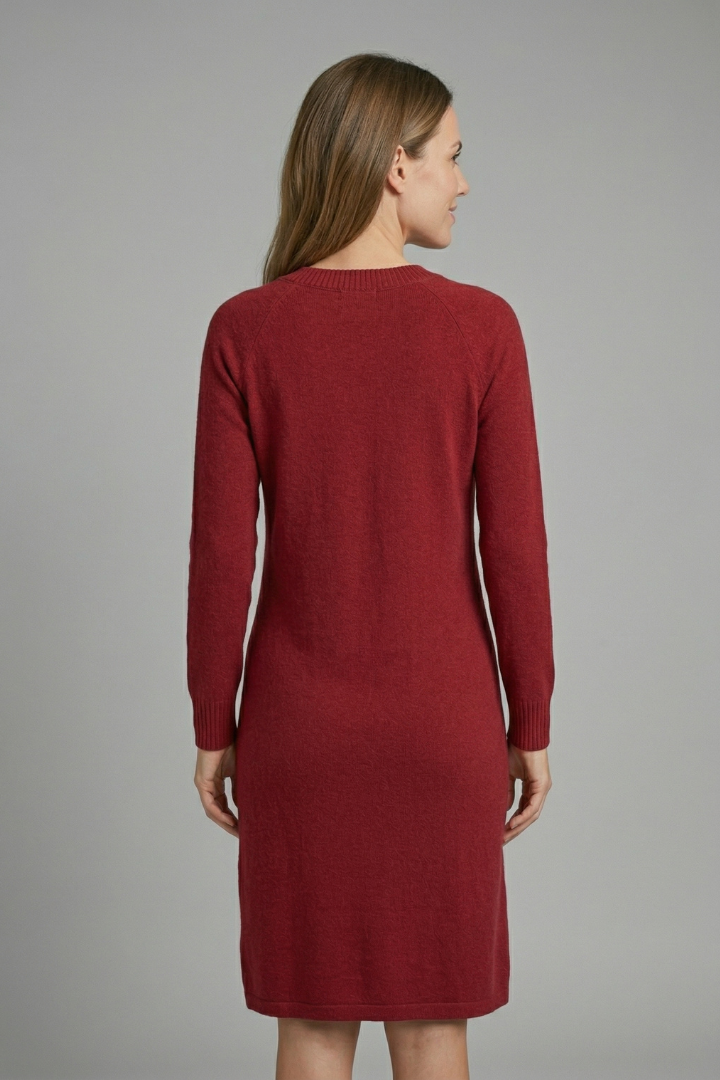Damekjole med V Neck og Lange ærmer