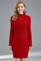 Meredith | Women’s Mini Dress with High Neck and Long Sleeves