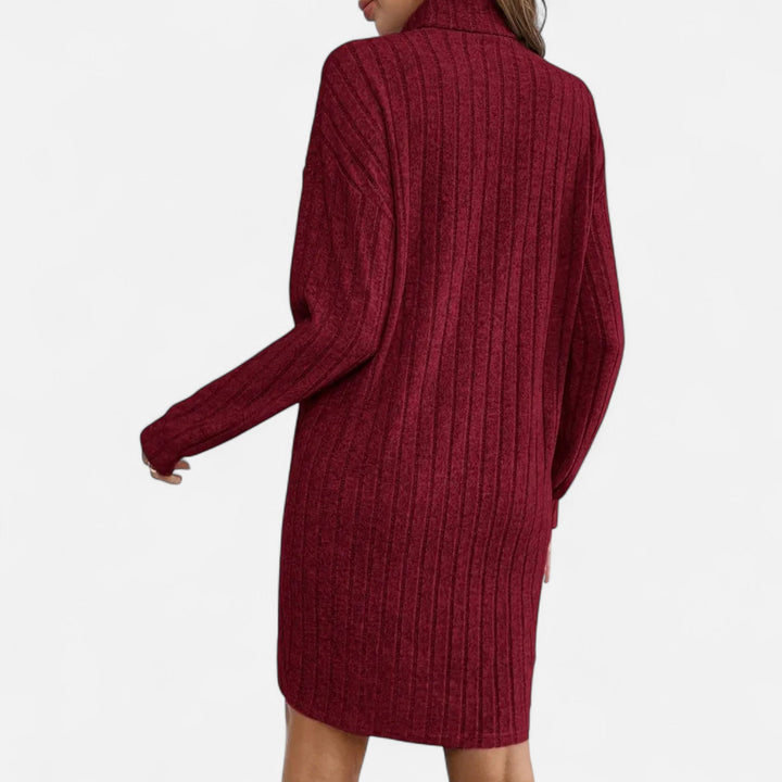 Zerline | Women's Turtleneck Textured Knit Dress