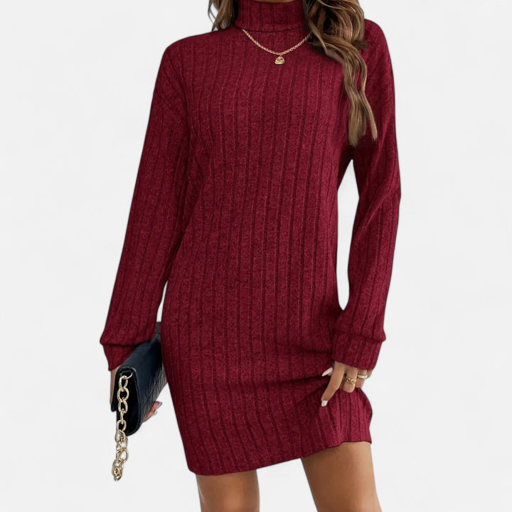 Zerline | Women's Turtleneck Textured Knit Dress