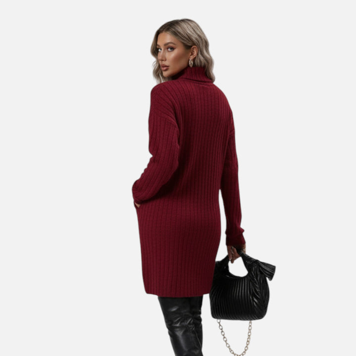 Zerline | Women's Turtleneck Textured Knit Dress