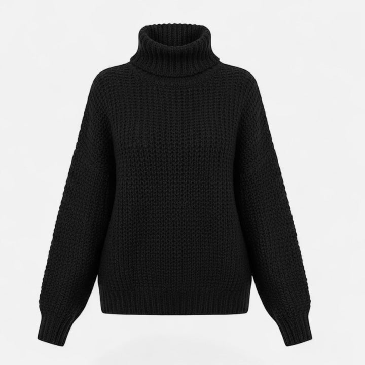 Delfina | Women's Wool-Blend Turtleneck Sweater