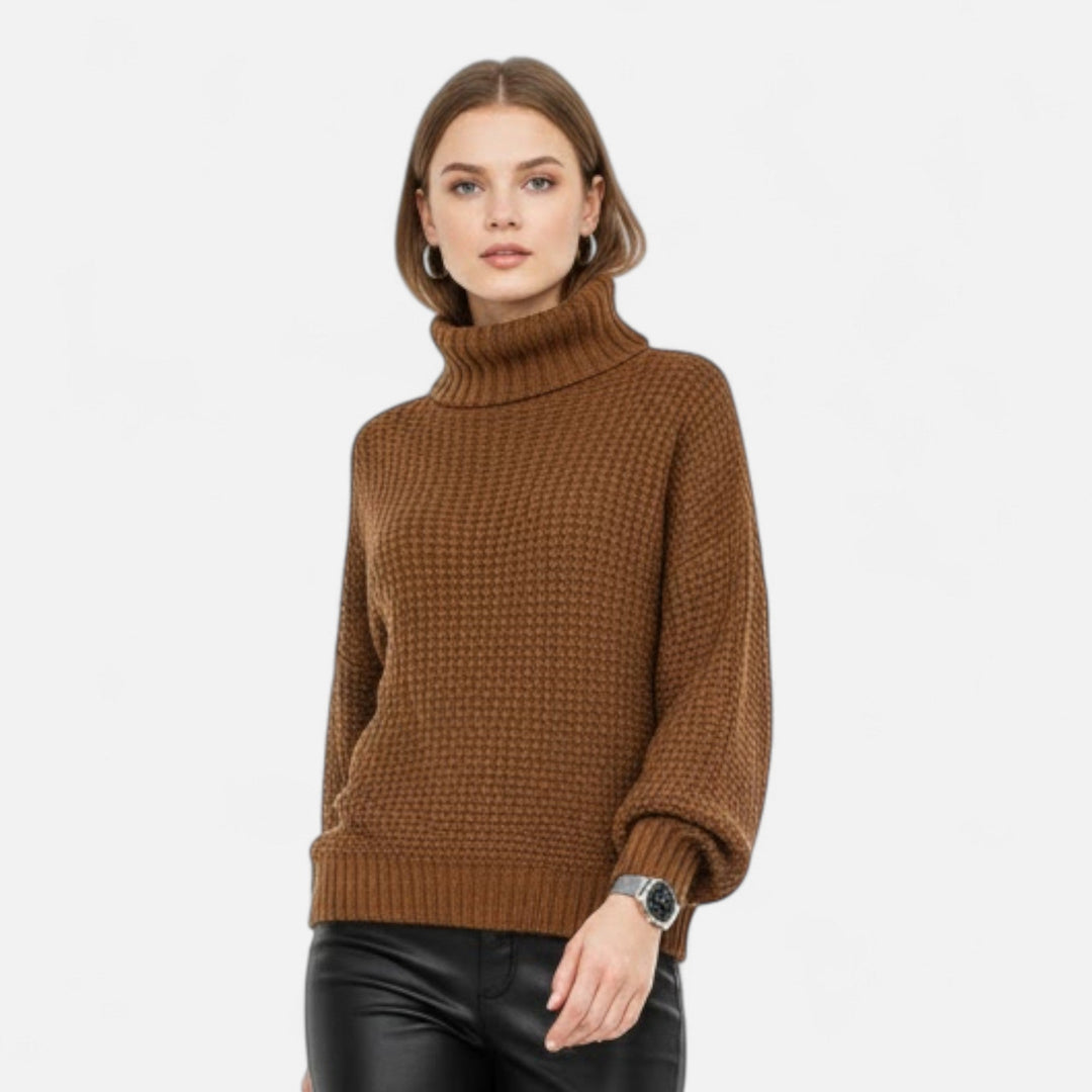 Delfina | Women's Wool-Blend Turtleneck Sweater