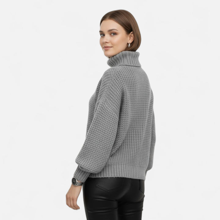 Delfina | Women's Wool-Blend Turtleneck Sweater