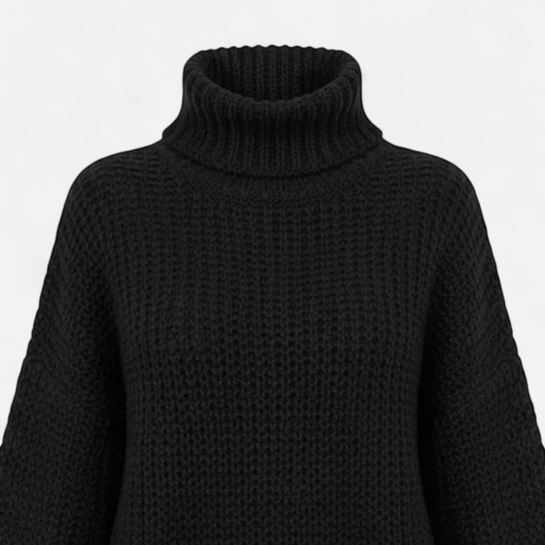 Delfina | Women's Wool-Blend Turtleneck Sweater