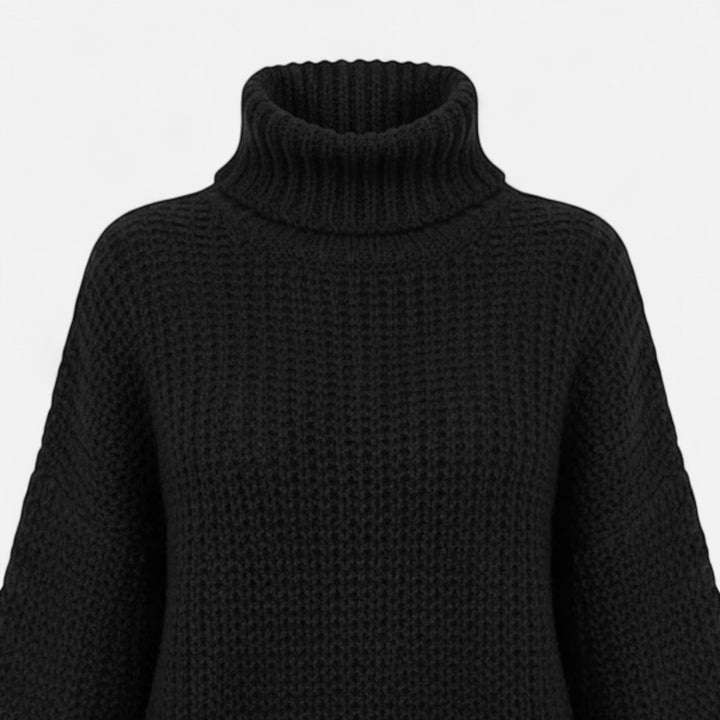 Delfina | Women's Wool-Blend Turtleneck Sweater