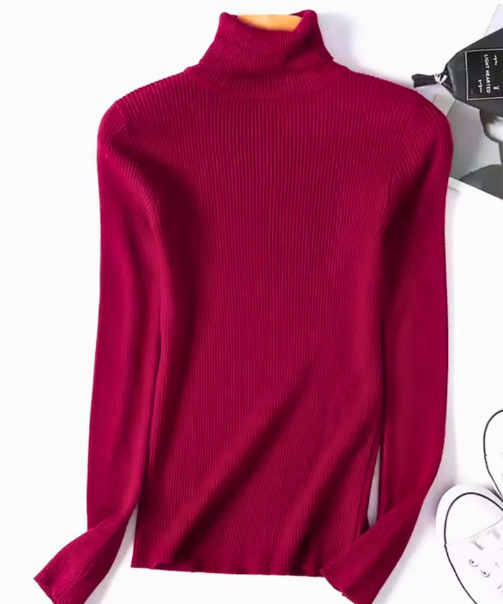 Women's Ribbed Turtleneck Knit Top