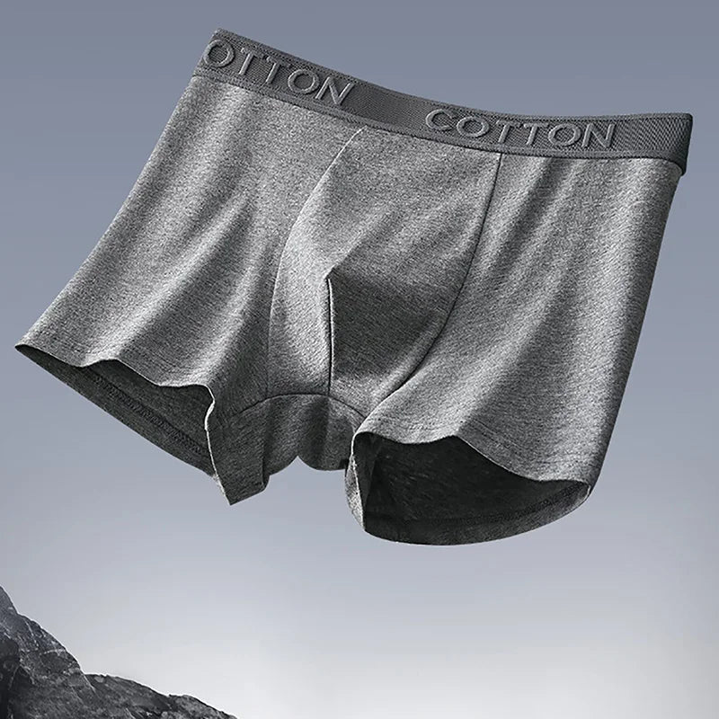Eamon Cotton Blend Boxer Briefs 5-Pack - image 6